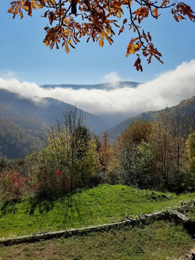 Eclats De Vie Otel Sablieres Dış mekan fotoğraf